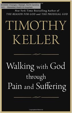 walking_with_god_through_pain_and_suffering ""
