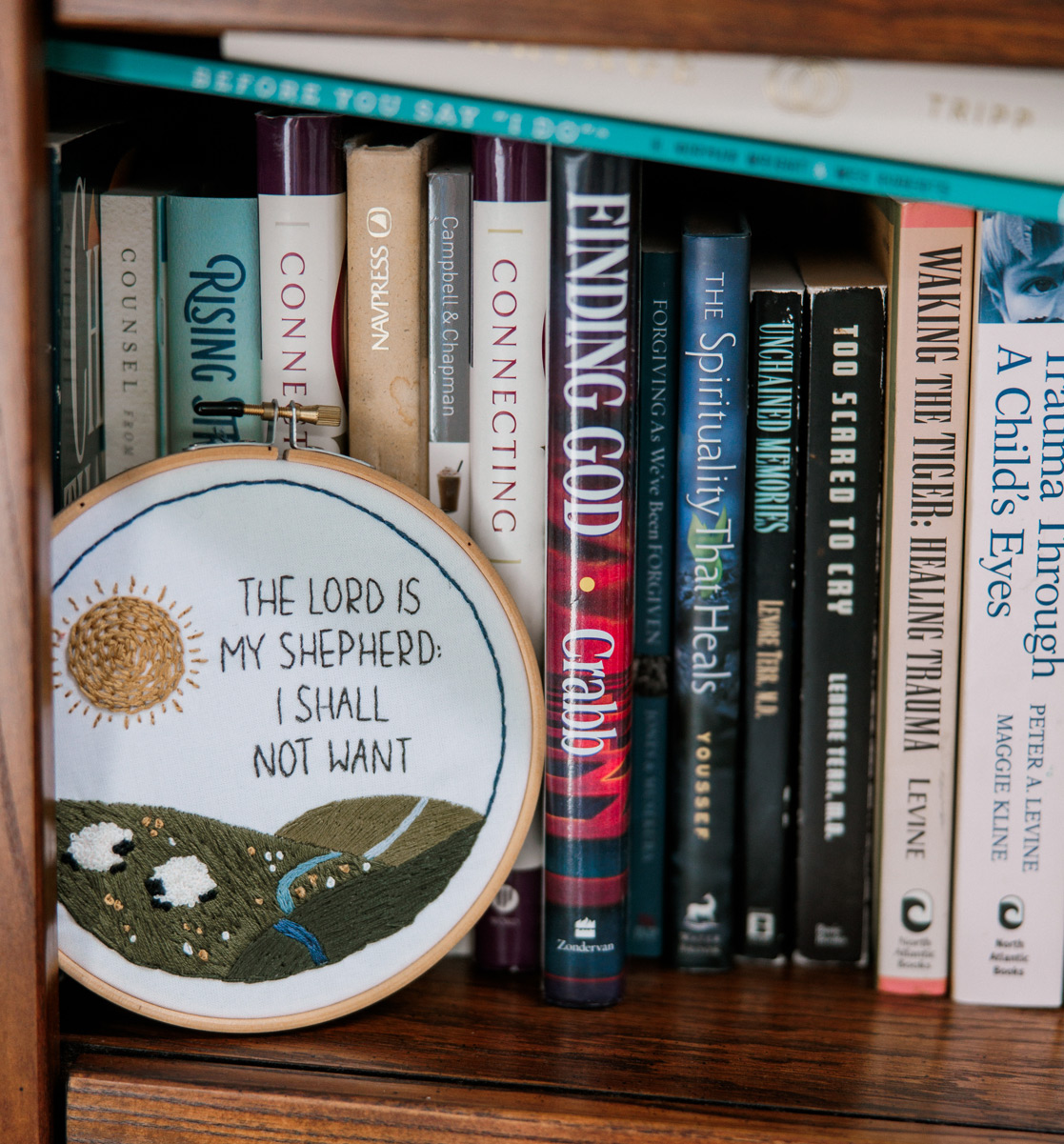 Bookshelf with therapy and mental health resources